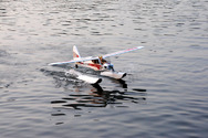 funcub wasserfliegen